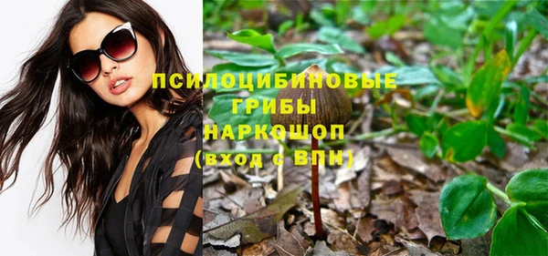 бошки Зеленодольск