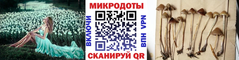 Купить  Нижняя Салда  Псилоцибиновые грибы ЛСД 